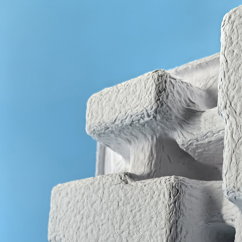 pulp mold